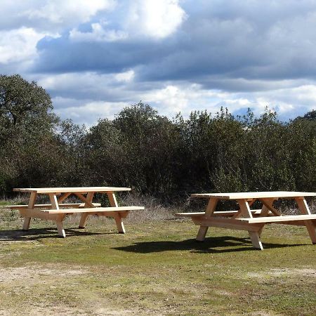 Bubulcus And Bolotas - Off Grid Nature Holiday Home Vimieiro  Extérieur photo