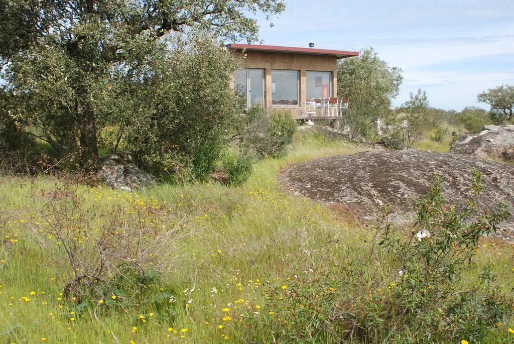 Bubulcus And Bolotas - Off Grid Nature Holiday Home Vimieiro  Extérieur photo