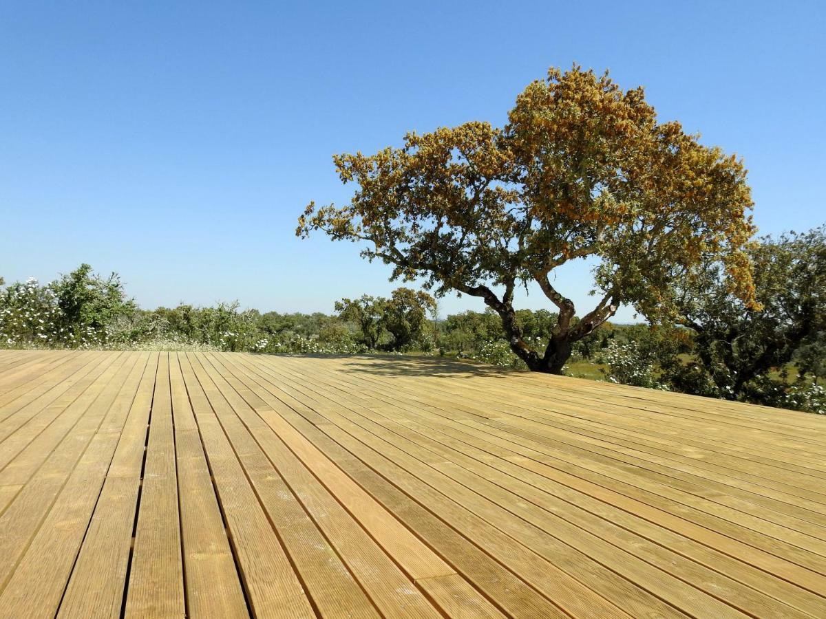Bubulcus And Bolotas - Off Grid Nature Holiday Home Vimieiro  Extérieur photo